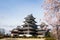 Matsumoto Castle during cherry blossom Sakura is one of the most famous sights in Matsumoto, Nagano, Japan. Japan tourism,