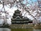 Matsumoto Castle with Cherry Blossoms