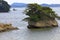 Matsushima Bay , beautiful islands covered with pine trees