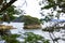 Matsushima Bay , beautiful islands covered with pine trees