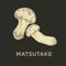 Matsutake edible mushroom flat vector icon