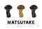Matsutake mushroom, silhouette icons set with lettering. Imitation of stamp, print with scuffs. Simple black shape and color