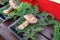 Matsutake Mushroom soiled on tray with pine leaf