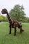 Matt Johnsonâ€™s wonderful Baby Dinosaur sculpture