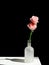 Matte glass vase with delicate pink roses on dark background