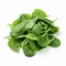 Matte Toned Spinach Isolated On White Background