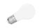 Matte white light bulb isolated