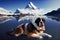 Matterhorn lake and Saint Bernard dog