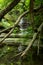 Matthiessen Lake falls.