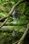 Matthiessen Lake falls.