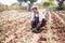 Mature Agronomist planting in Agricultural Field in greenhouse