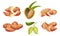 Mature Almond Kernel with Green Leafy Branch Vector Set