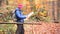 Mature backpacker looking at a map in a colorful forest in autumn