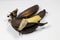 Mature brown banana