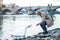 Mature businessman standing by river Vltava in Prague city, feeding a swan.