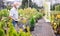 Mature Caucasian male retired in medical mask protecting from the virus buying plant for home garden in store