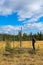 Mature Caucasian man prospector standing and thinking on wetland, geologist