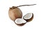 Mature coconut for oil preparing and coconut milk on white