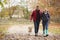 Mature Couple On Autumn Walk With Labrador