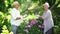 Mature couple cutting flowers