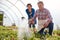 Mature Couple Working In Garden Center Watering Plants In Greenhouse