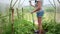 Mature elderly woman watering plants with water hose. Farming, gardening, agriculture, old age and people concept - senior woman