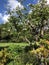 Mature English Garden in spring, North Yorkshire, England, United Kingdom