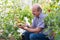 Mature farmer or gardener in the greenhouse checking his tomato quality