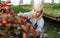 Mature female florist in apron working with begonia plants in hothouse