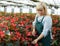 Mature female florist in apron working with begonia plants in hothouse