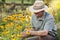 Mature gardener looking at yellow flowers in a flowerbed in a garden in the morning light