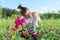 Mature happy woman with domestic cat and fresh zinnia flowers bouquet