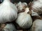 Mature heads of garlic, consisting of large cloves, dried and ready for storage