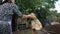 Mature housewife petting her pet dog. Dog on a chain in a rural yard near the booth