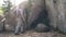 A mature male adventurer with hiking equipment exploring a forest cave