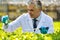 Mature male biochemist holding chemical in test tube with pipette in plant nursery