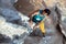 Mature Male Extreme Climber hanging on unusual shaped Rock