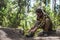 Mature male hiker in sunglasses tying shoelaces and getting ready for trekking in forest while sitting on rock. Man tying hiking