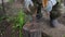 Mature man chopping wood on log outdoor. Close up of men\'s hands cutting wood with axe in garden.