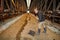 Mature Man Cleaning Barn at Farm