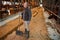 Mature Man Cleaning Livestock Shed at Farm