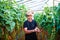 Mature man Farmer in greenhouse checking tomato plants via tablet and press the tachscreen online in greenhouse. Farmer check ord