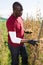 Mature man gardener while harvesting of beans