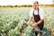 Mature man picking harvesting leek vegetable in a greenhouse.