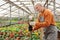 Mature man potting flower in greenhouse