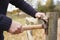 Mature Man Removing Nail From Fence Being Repaired