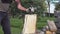 Mature man splitting big pine tree log with one steel wedge. Wedges used when it is not possible to chop firewood with ax, warm