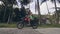 Mature man traveling on motorbike at village road on tropical palm trees landscape. Senior man riding motorcycle on