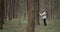 Mature man walking through forest and exploring old trees