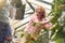 Mature Same Sex Female Couple Working In Greenhouse Watering Plants Together